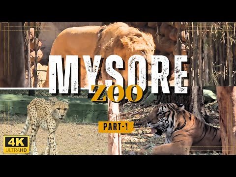 A day at Mysuru zoo - Sri Chamarajendra Zoological Gardens - Part 1 #mysorezoo