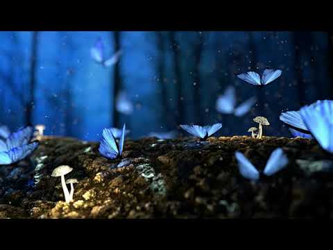 Seba GS - A Dream (The Origin Album Mix) [Estribo Records]