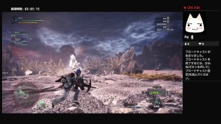 モンスターハンターを初めてプレイ（１４日目）