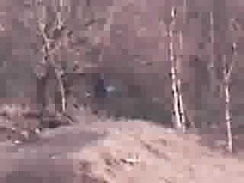 failsworth dirt rippers