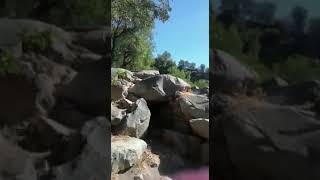 Video 2 — Chamán Peruano
