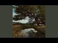 Meadow Song