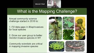 iMapInvasives 10th Annual Mapping Challenge