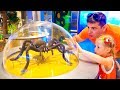 Stacy e papai se divertem no museu das crianças Stacy e papai se divertem no museu das crianças