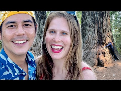 Should We Move to Arcata, California?