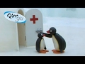 Pingu Pingu At The Doctor