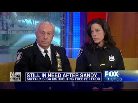 Pets, pet owners in need after Sandy   Fox News Video2