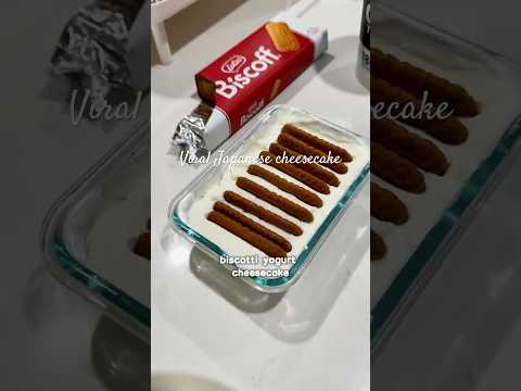 I’m a 똥손… Trying the Viral Biscoff Yogurt Cheesecake 😭