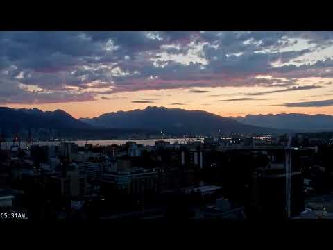 Thumbnail for LIVE Best of the Best! Coral Princess, Zaandam & Explorer | Pink Sunrise to Triple Synchro Arrival