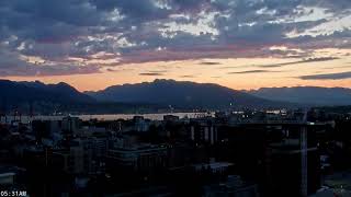 LIVE Best of the Best! Coral Princess, Zaandam & Explorer | Pink Sunrise to Triple Synchro Arrival