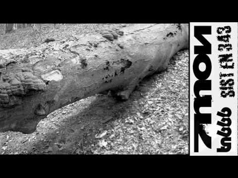 v/a 7 Minutes OF Nausea, SIST EN 343 & tn666 split CD