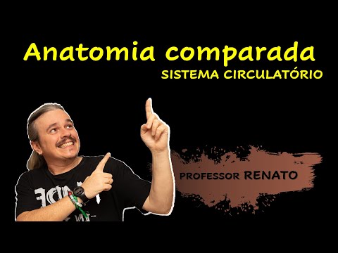 Anatomia e fisiologia comparada: circulação