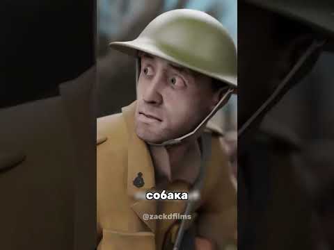 😢 СОБАКА ЦЕНОЙ СВОЕЙ ЖИЗНИ СПАСЛА СОЛДАТ 🐕#интересно #наука #факты