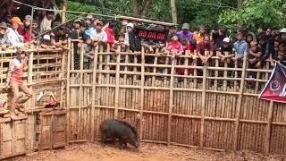 Download lagu BANYAK YG NONTON KONTES DCC DUGONG CIMARA CUP - SUMEDANG mp3 Download lagu BANYAK YG NONTON KONTES DCC DUGONG CIMARA CUP - SUMEDANG mp3