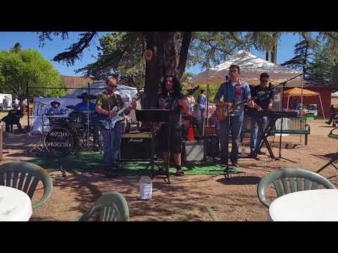 CCW Farmers Market. Have you ever seen the rain CCR cover.