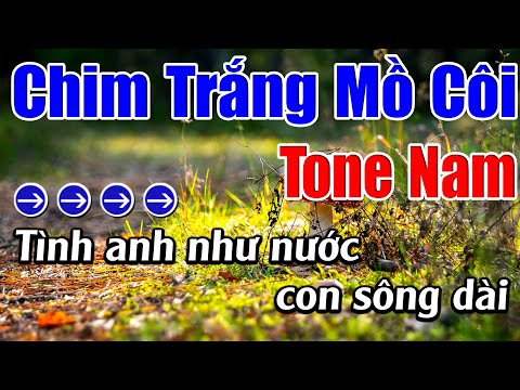 Chim Trắng Mồ Côi Karaoke Tone Nam Karaoke Lâm Beat - Beat Mới