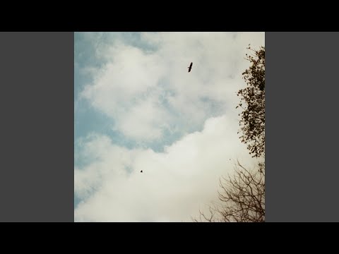 name of the wind (starling arrow)