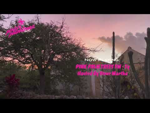 6. PINK PALM TREES FM📻🌴  (Hosted By Steve Martha) (Prod By Jeon)