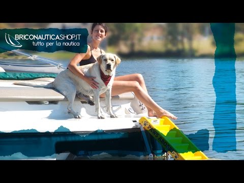 rampa Antiscivolo per Letto e divani per Cani Anziani Yongqxxkj in Pelle di Daino a 3 gradini Scale Staccabili Scala per Cani rampa Antiscivolo per Letto e divani per Cani Anziani Yongqxxkj in Pelle di Daino a 3 gradini Scale Staccabili Scala per Cani