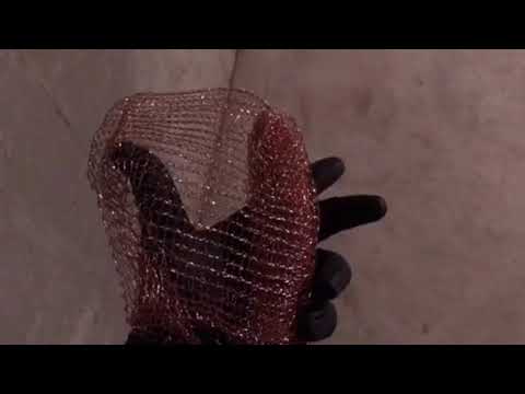 Mice Sneak into Homeowners Basement in Dayton, NJ