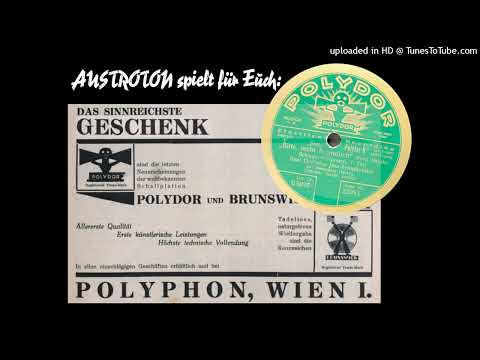 Paul Godwin Jazz-Symphoniker (+voc): Bitte, recht freundlich - Schlagerpotpourri (Berlin 1929)