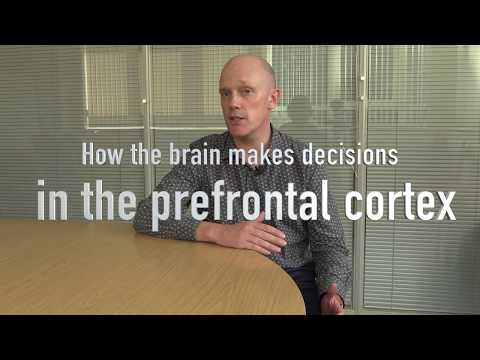 How the brain makes decisions - in the pre-frontal cortex