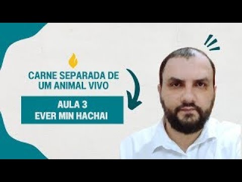Aula 3 - Carne separada de um animal vivo