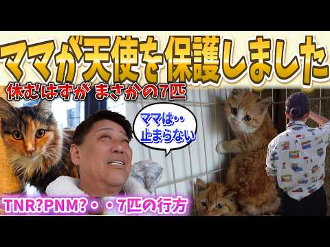 ママが休まず天使を保護しました〜団子三兄弟という名の天使〜