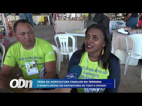 O Dia TV