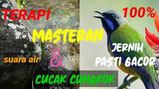 Download lagu MASTERAN CUCAK CUNGKOK & TERAPI SUARA AIR mp3 Download lagu MASTERAN CUCAK CUNGKOK & TERAPI SUARA AIR mp3