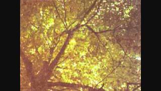 Hazard - Fibre Test.wmv