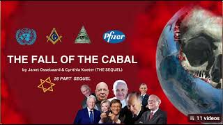 Fall of the Cabal, Who Is Janet Ossebaard