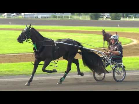 2017 Hambletonian Contenders - Sortie