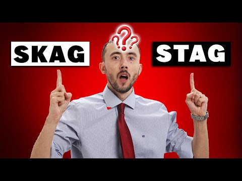 SKAG Vs. STAG Campaign Setup Profitability - How To Crush It With Either 🔥