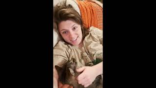 Funny animals - Funny cats / dogs - Funny animal March 2023