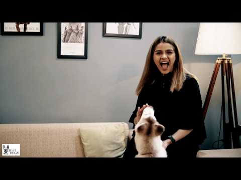 My Pet My Story - Aanal Savaliya - By Just Dogs