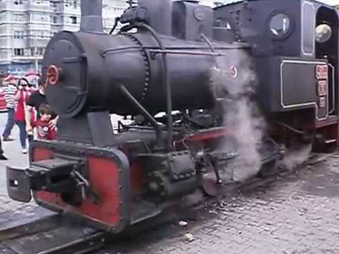 MOCANITA BUCURESTILOR - STATIONARE