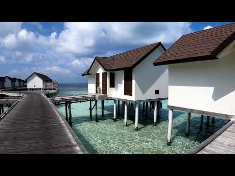 Videos del Oblu Select Sangeli 5★ en Atolón de Malé Norte, MaldivasVer MásVerPrecios17CerrarConsulta por Whatsapp 🇦🇷BookingTripadvisorExpediaAgodaTravelocityOrbitzTripSkyscannerDespegarKayakHotelesBestdayDestiniaTrivagoLastminuteTuiWotif