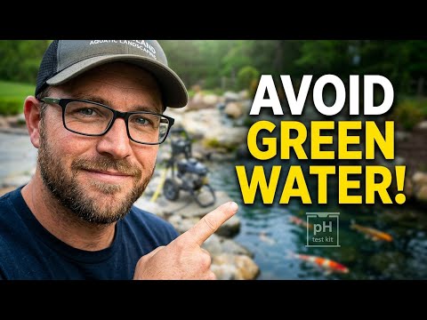 Don't Open Your Pond Wrong This Spring