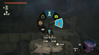 場末のTotK