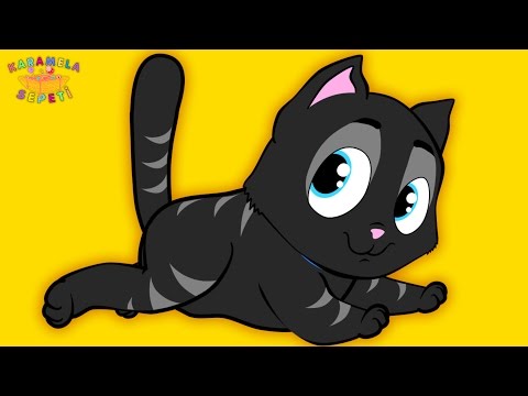 Kara Kedi - Onur Erol-Karamela Sepeti - Çocuk Şarkıları