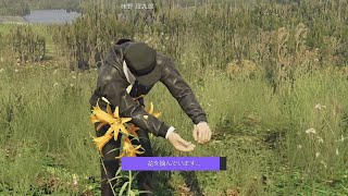 【ストグラ2】大量の花を最速で発見してしまう【味野環九郎】