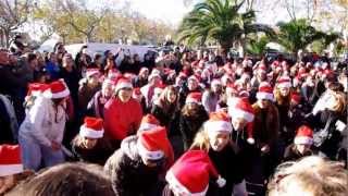 preview picture of video 'Flashmob du marché de noël de Paulhan 2012'