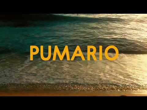 Pumario Music - Presha (Official teaser)