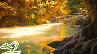 Our Future | Relaxing Music by Peder B. Helland