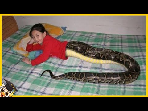 10 people who are born only once in a thousand years