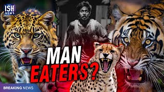 Tigers Kill 40, Leopards Kill 14 in Maharashtra