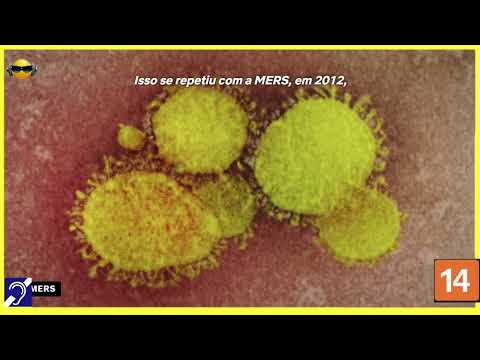 Tv Educativa Cortes Netflix Explicando O Coronavirus Atual Pandemia Dublado e com Legendas Corte 02