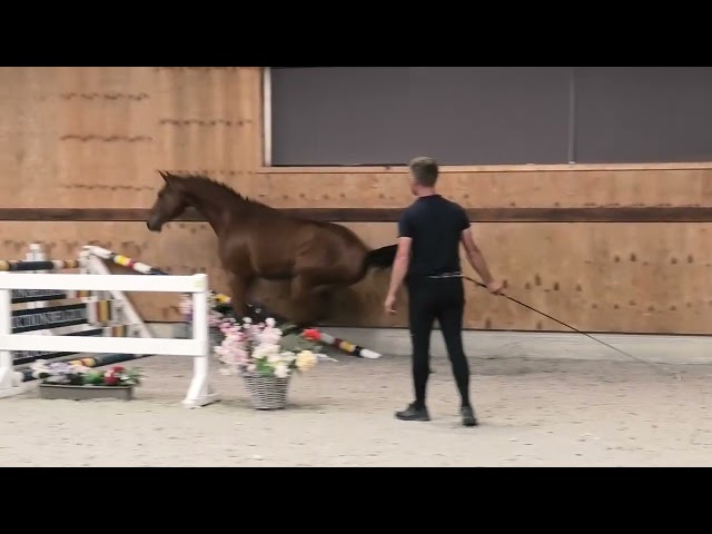 Jumping