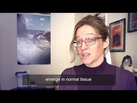 ASCB / EMBO: The mitotic spindle reveals unsuspected variations